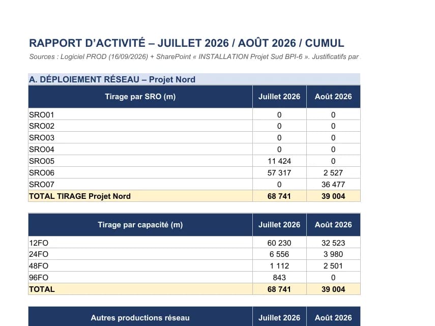 Aperçu : Rapport d’activité mensuel